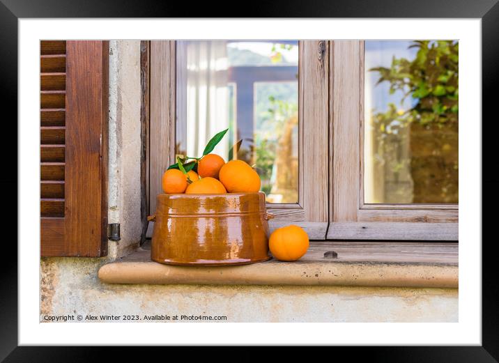 fruit bowl oranges  Framed Mounted Print by Alex Winter