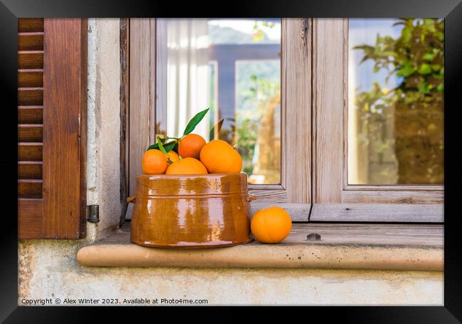 fruit bowl oranges  Framed Print by Alex Winter