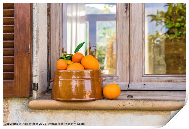 fruit bowl oranges  Print by Alex Winter