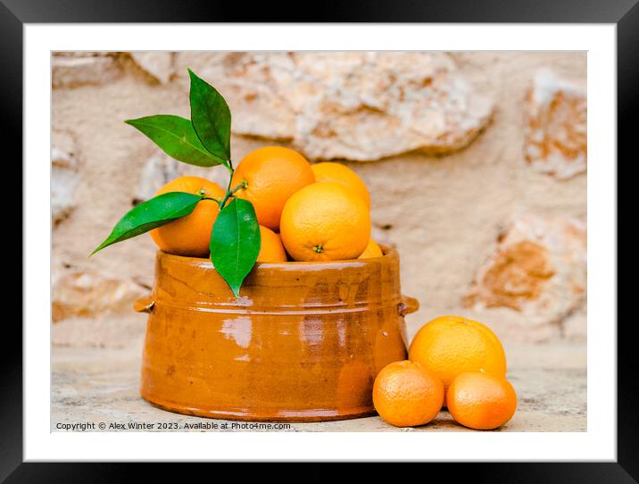 A bowl of oranges on a table Framed Mounted Print by Alex Winter