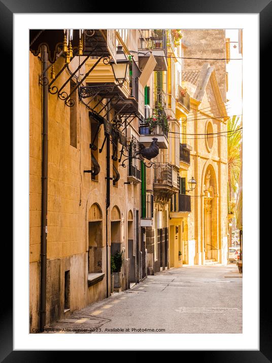 Street view in Palma de Majorca Framed Mounted Print by Alex Winter