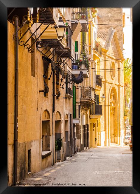 Street view in Palma de Majorca Framed Print by Alex Winter