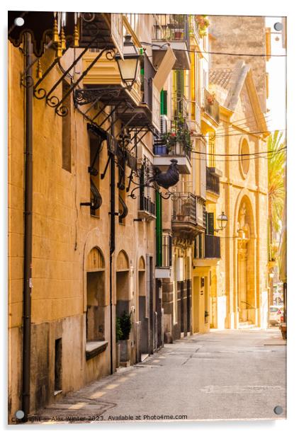 Street view in Palma de Majorca Acrylic by Alex Winter