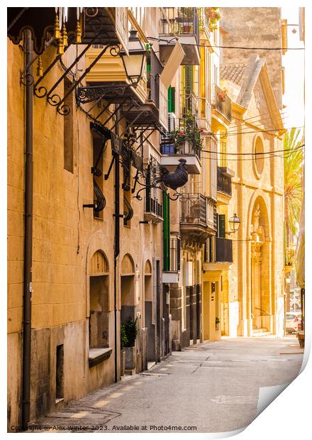 Street view in Palma de Majorca Print by Alex Winter