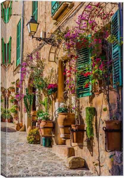 mediterranean house with flowers and plants  Canvas Print by Alex Winter