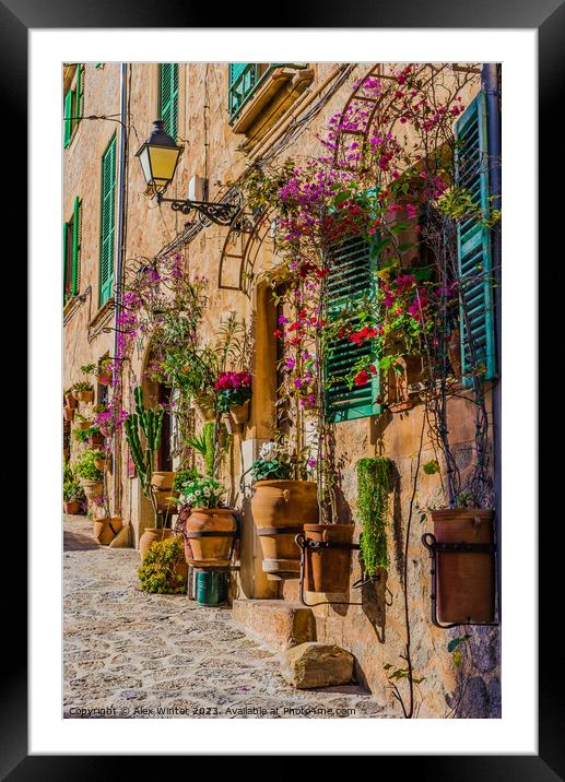 mediterranean house with flowers and plants  Framed Mounted Print by Alex Winter
