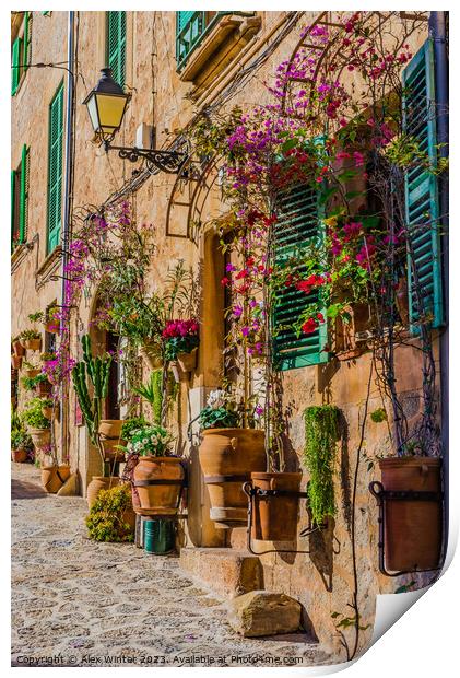 mediterranean house with flowers and plants  Print by Alex Winter