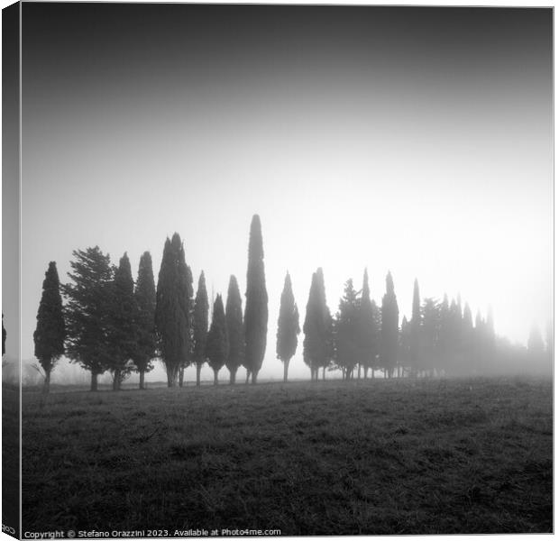We are not all the same. Tuscany Canvas Print by Stefano Orazzini