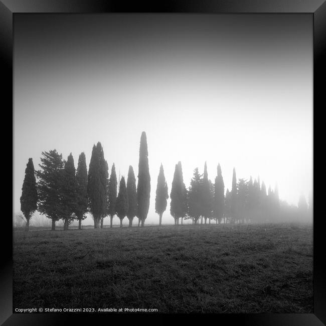 We are not all the same. Tuscany Framed Print by Stefano Orazzini