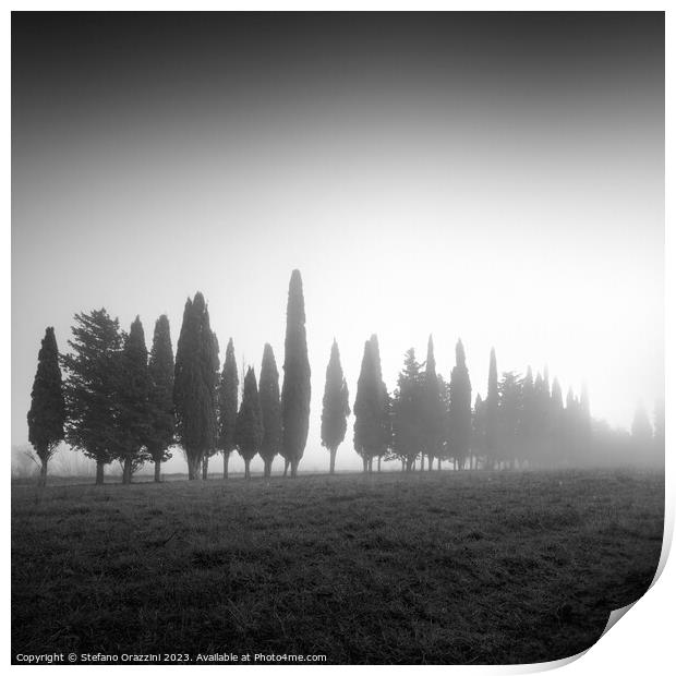We are not all the same. Tuscany Print by Stefano Orazzini