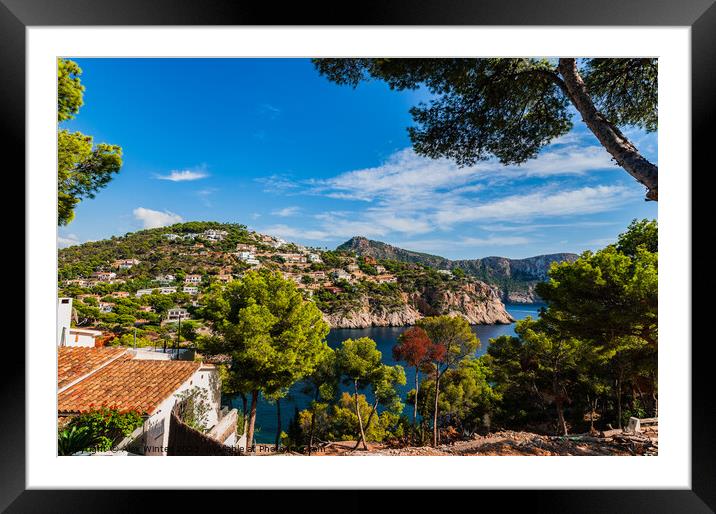 Island scenery on Mallorca Framed Mounted Print by Alex Winter