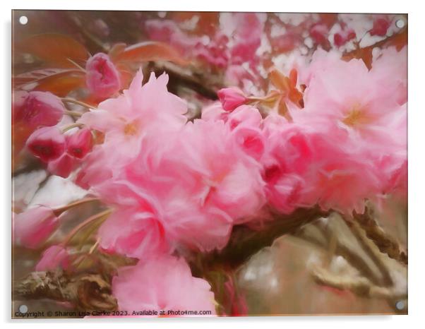 Romance and Blossom Acrylic by Sharon Lisa Clarke