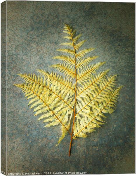 Golden fern Canvas Print by Michael Kemp