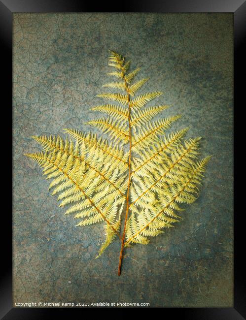 Golden fern Framed Print by Michael Kemp