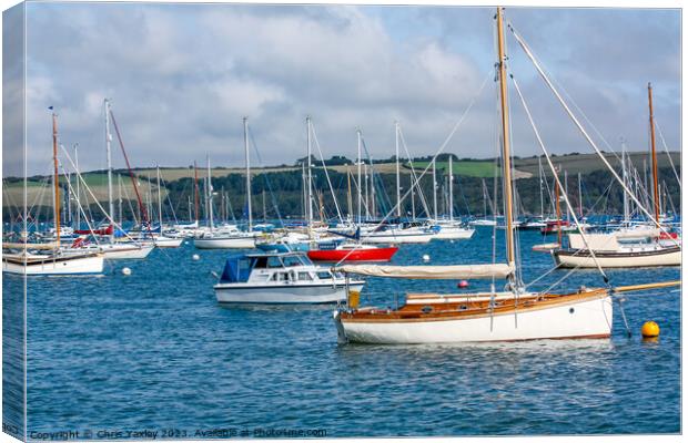 Boats moored on the River Camel, Cornwall Canvas Print by Chris Yaxley