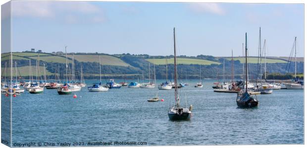 View across the River Camel, Cornwall Canvas Print by Chris Yaxley
