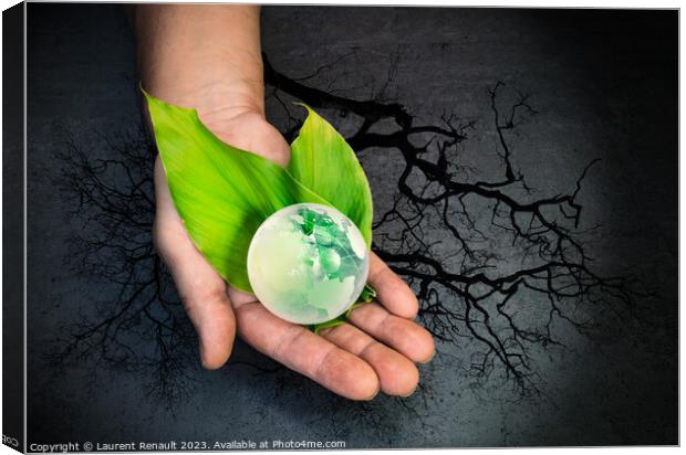 Human hands holding a green globe of planet Earth over leaves Canvas Print by Laurent Renault