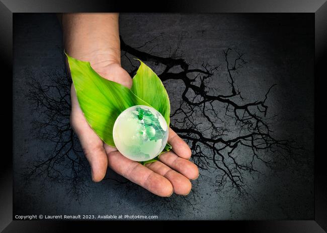 Human hands holding a green globe of planet Earth over leaves Framed Print by Laurent Renault