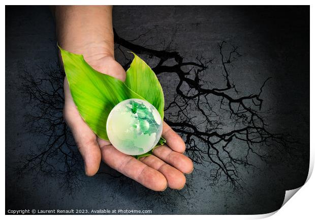Human hands holding a green globe of planet Earth over leaves Print by Laurent Renault