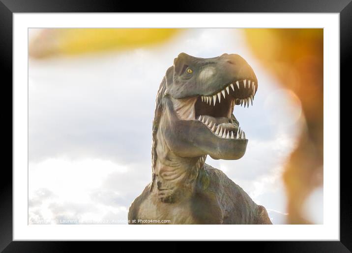 Tyrannosaurus Rex or T-Rex photography with a blurry foreground Framed Mounted Print by Laurent Renault