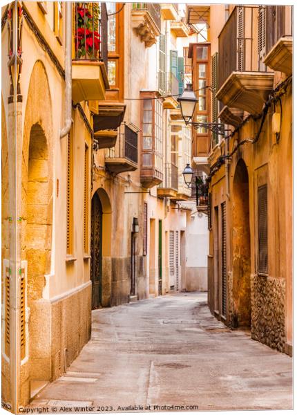 Street in the old town of Palma de Mallorca Canvas Print by Alex Winter