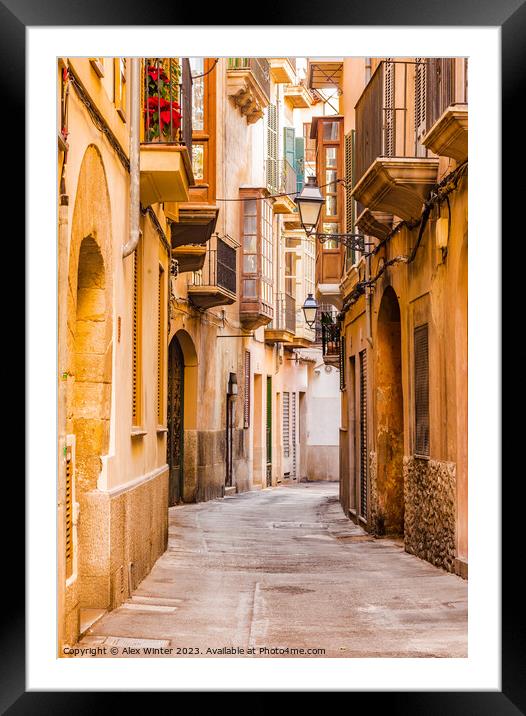 Street in the old town of Palma de Mallorca Framed Mounted Print by Alex Winter
