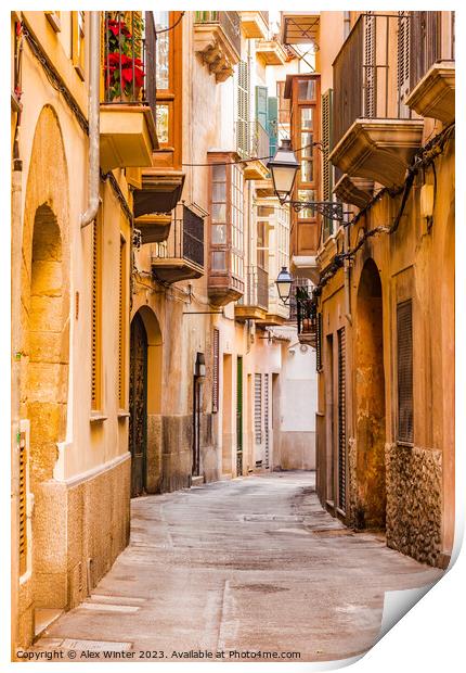 Street in the old town of Palma de Mallorca Print by Alex Winter