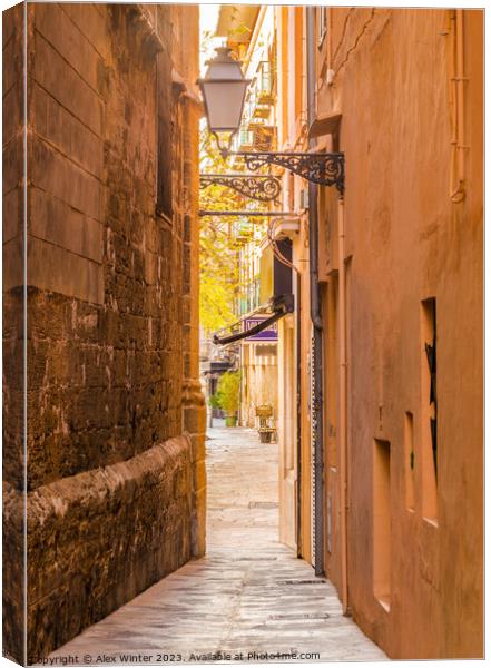 View of a narrow alley at the old town of Palma Canvas Print by Alex Winter