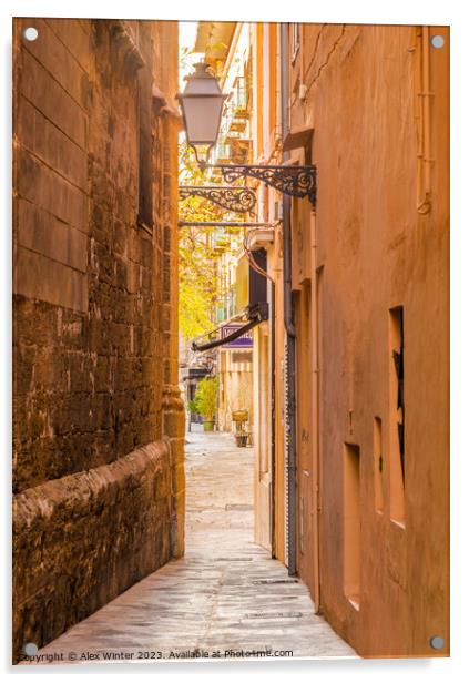 View of a narrow alley at the old town of Palma Acrylic by Alex Winter