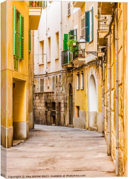 Narrow street at the old town of Palma de Mallorca Canvas Print by Alex Winter