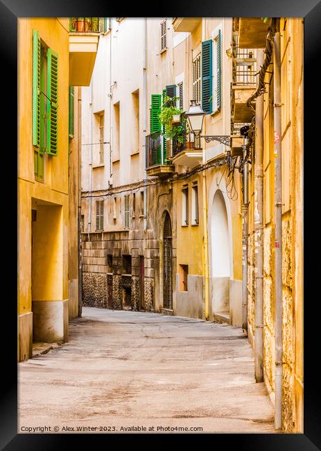 Narrow street at the old town of Palma de Mallorca Framed Print by Alex Winter