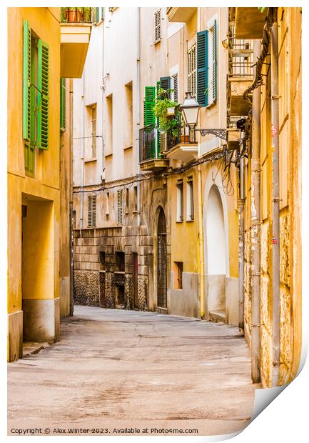 Narrow street at the old town of Palma de Mallorca Print by Alex Winter