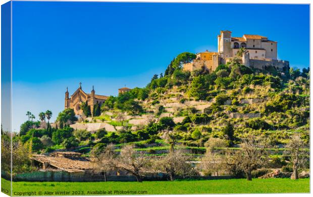 A castle on top of a lush green field Canvas Print by Alex Winter