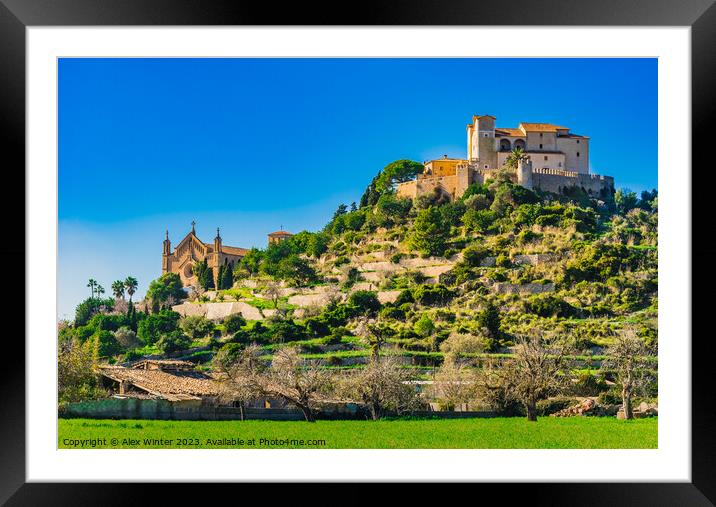 A castle on top of a lush green field Framed Mounted Print by Alex Winter