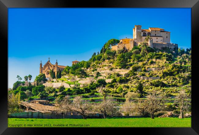 A castle on top of a lush green field Framed Print by Alex Winter