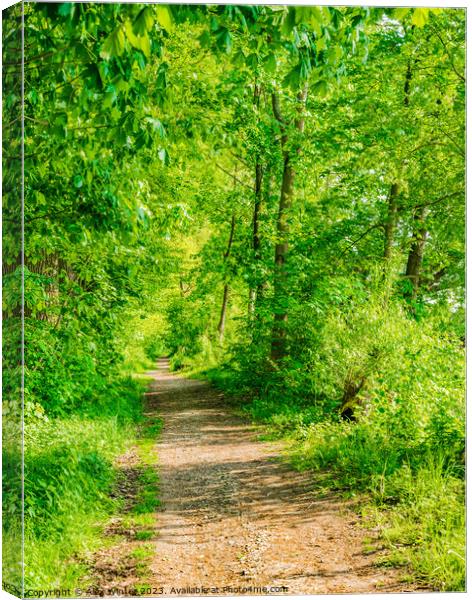 Pathway forest Canvas Print by Alex Winter