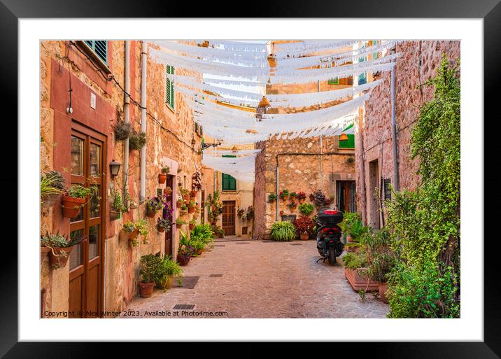 Street with beautiful flowers in Valldemossa Framed Mounted Print by Alex Winter