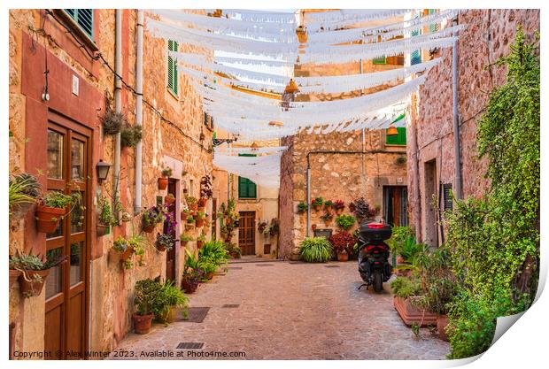 Street with beautiful flowers in Valldemossa Print by Alex Winter