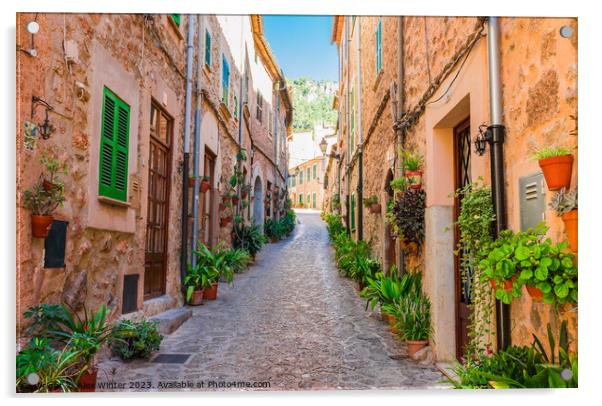 Beautiful street in the mediterranean village Acrylic by Alex Winter