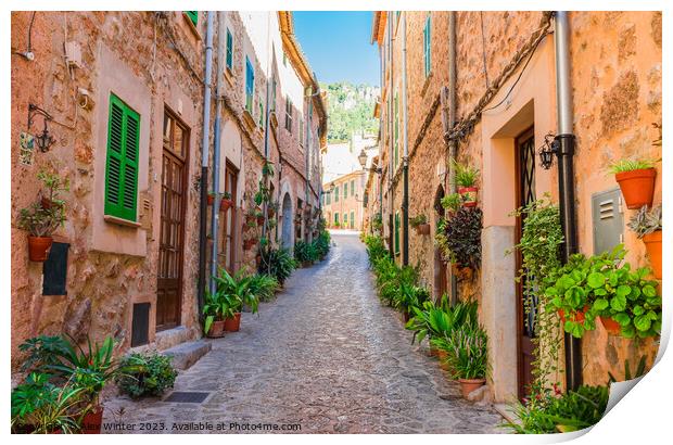 Beautiful street in the mediterranean village Print by Alex Winter