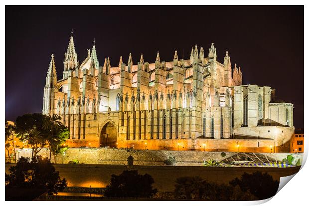 Palma Cathedral Print by Alex Winter