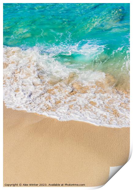 Serene Ocean Paradise Print by Alex Winter