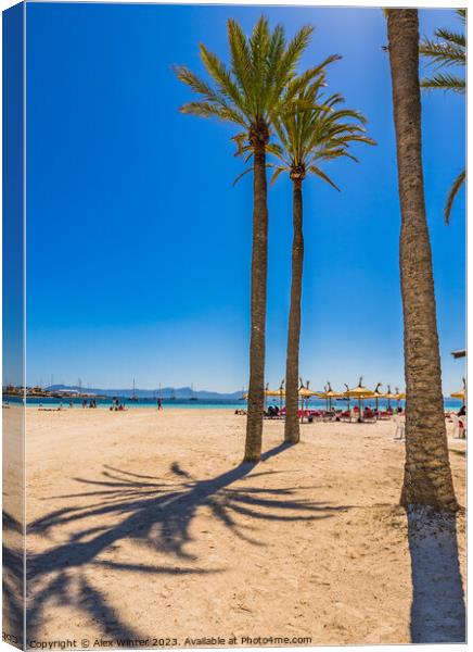 Platja de Alcudia beach on Majorca Canvas Print by Alex Winter
