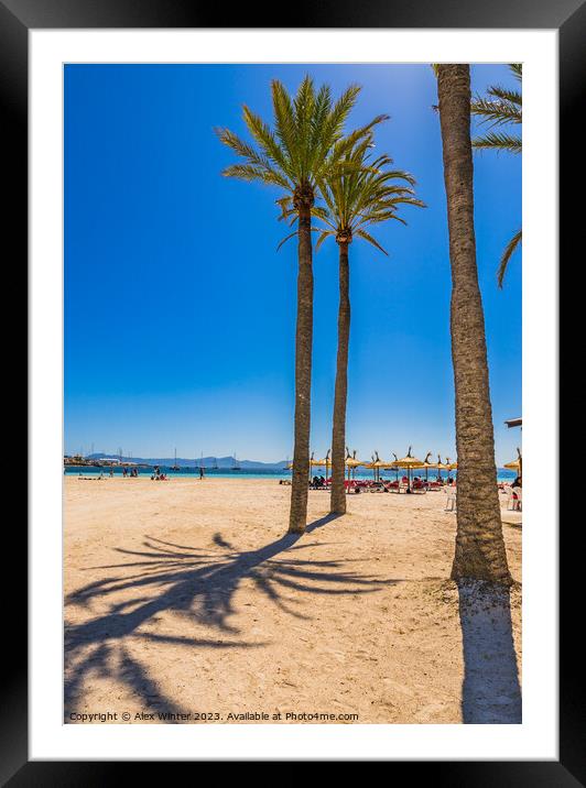 Platja de Alcudia beach on Majorca Framed Mounted Print by Alex Winter
