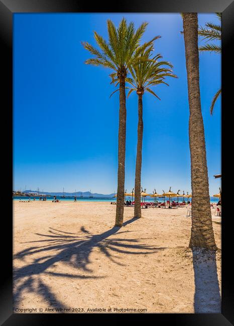 Platja de Alcudia beach on Majorca Framed Print by Alex Winter
