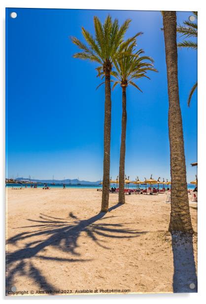 Platja de Alcudia beach on Majorca Acrylic by Alex Winter