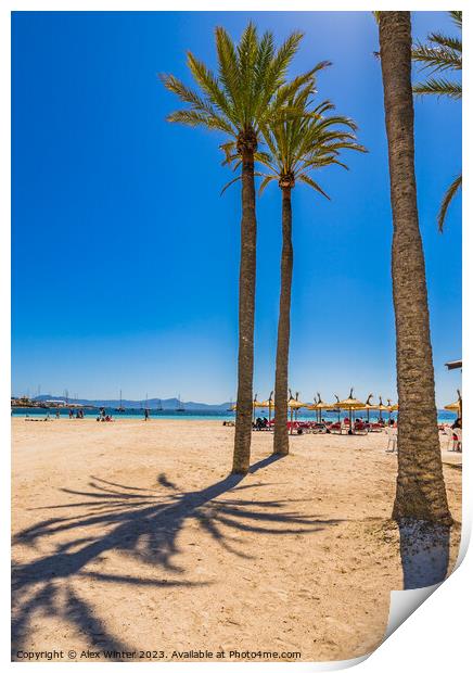 Platja de Alcudia beach on Majorca Print by Alex Winter