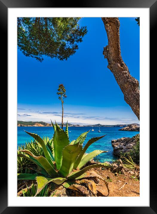 Cala Fornells, Mallorca, Spain Framed Mounted Print by Alex Winter