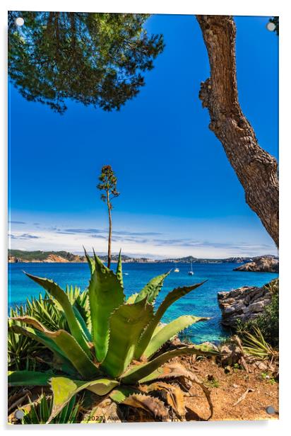 Cala Fornells, Mallorca, Spain Acrylic by Alex Winter