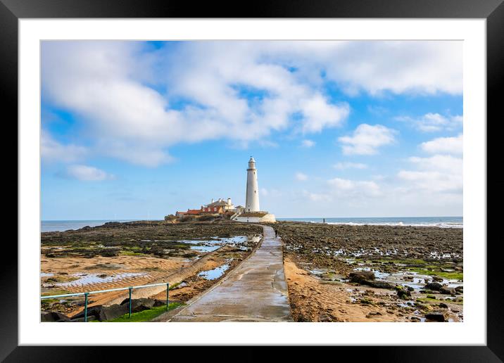 St Marys Lighthouse Framed Mounted Print by Steve Smith